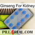 Ginseng For Kidney 21